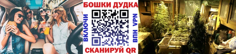 Конопля конопля Грязи